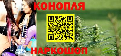 индика Будённовск