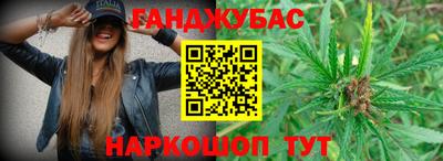 индика Будённовск