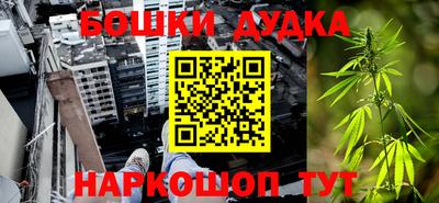 индика Будённовск